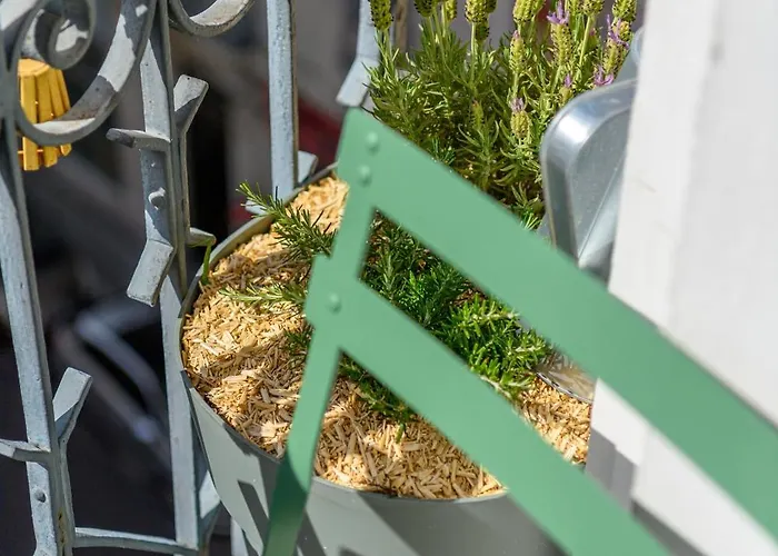 Le Coeur De Apartment Grenoble